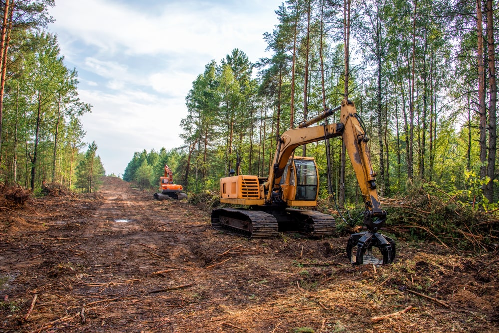 Commercial Site Clearance 1