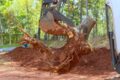 Site Clearance