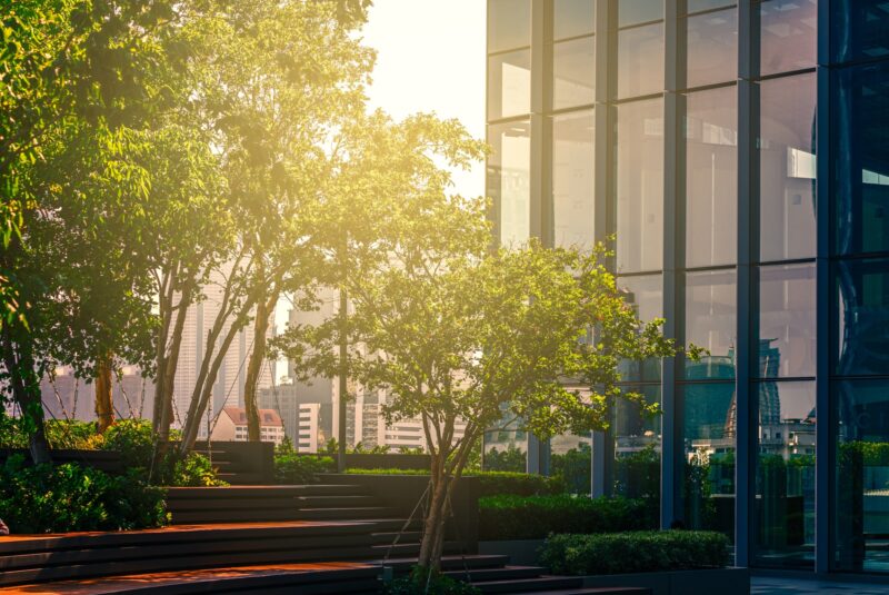 Commercial Tree Services