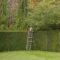 Hedge Trimming