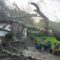 Emergency Tree Services