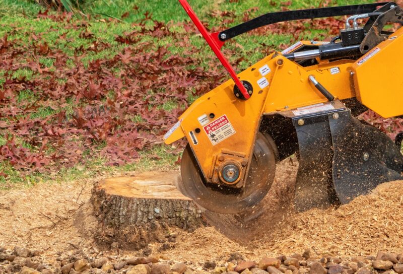 Tree Stump Grinding