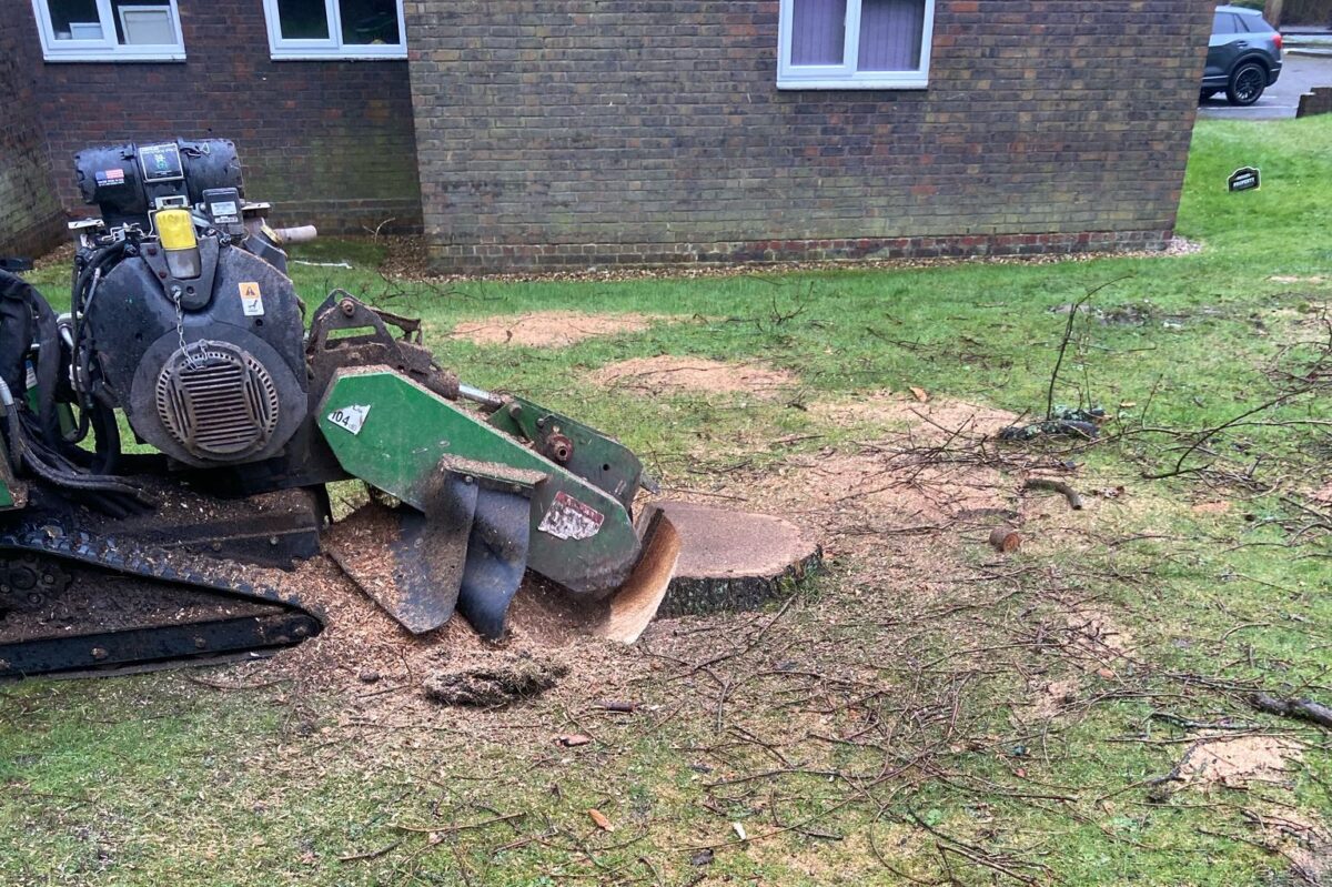 Stump grinder cutting down a tree stump on a grassed area