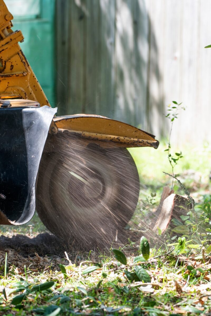 Stump Grinding Services Near Me 1
