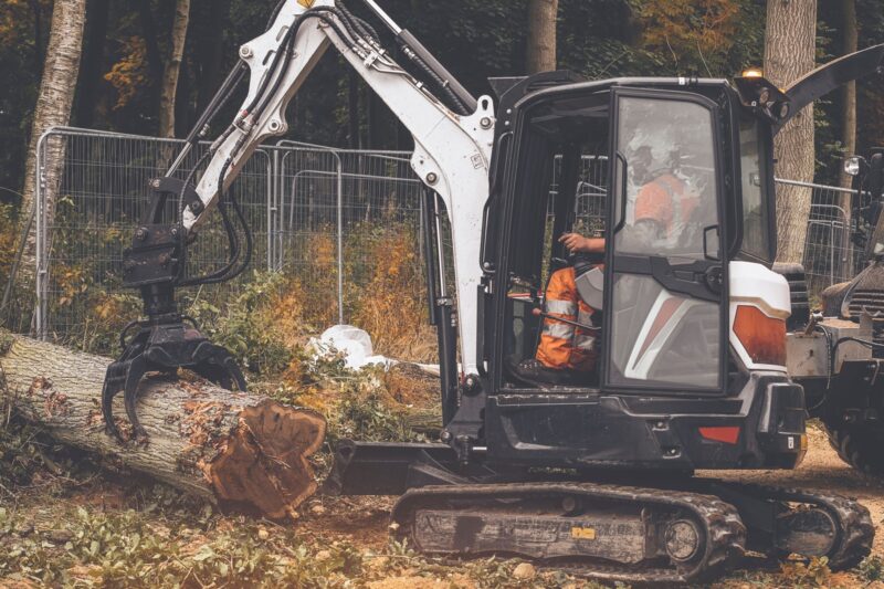 Tree Felling